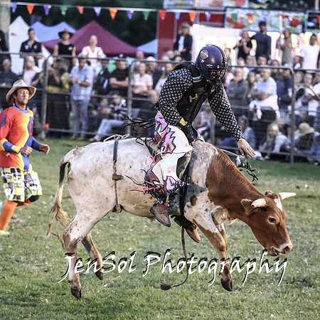 MiltonShowRodeo2018_0916