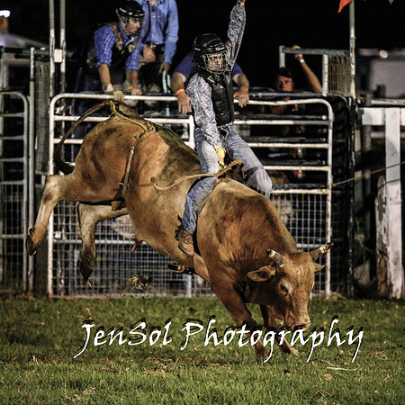 MiltonShowRodeo2018_1166