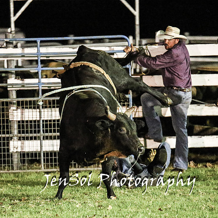 MiltonShowRodeo2018_1777