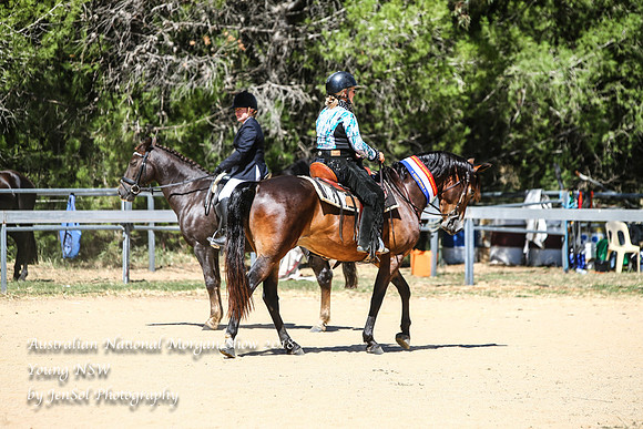 ANMS2018_3416