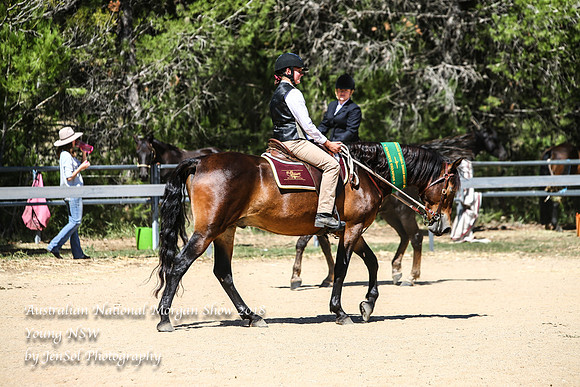 ANMS2018_3417