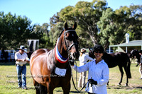 ANMS2018_2694
