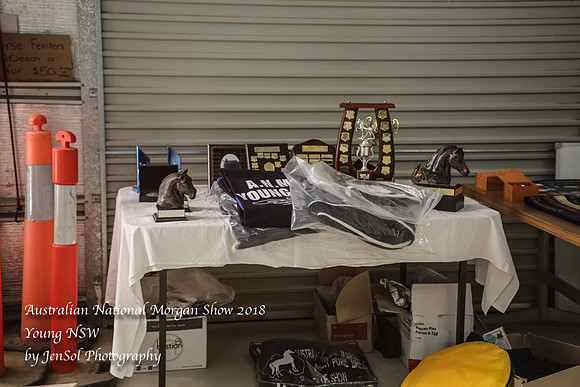 ANMS2018_3673