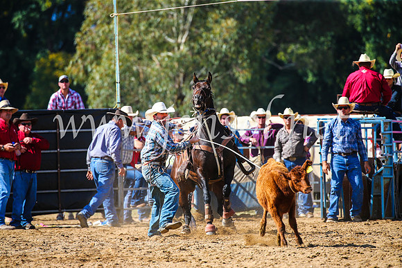 TumutRodeo2017_1099