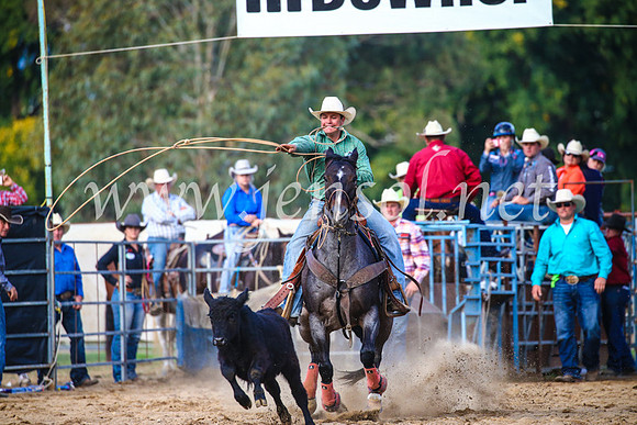TumutRodeo2017_2705
