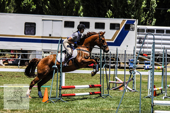 Fri_Showjumping546
