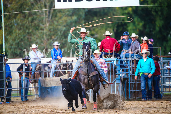 TumutRodeo2017_2703