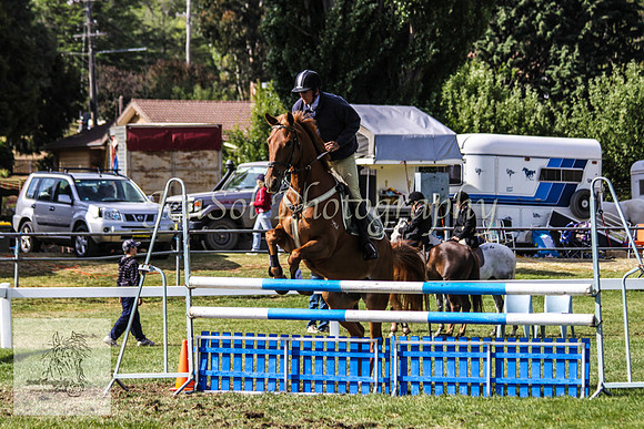Fri_Showjumping159
