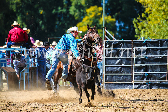 TumutRodeo2017_1075