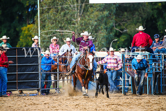 TumutRodeo2017_2688