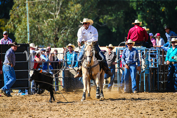 TumutRodeo2017_1111