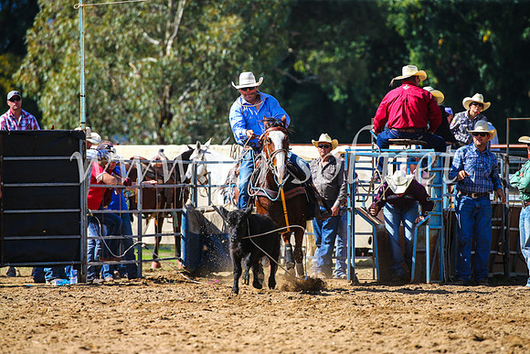 TumutRodeo2017_1078