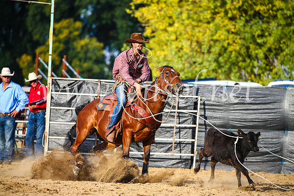 TumutRodeo2017_2697