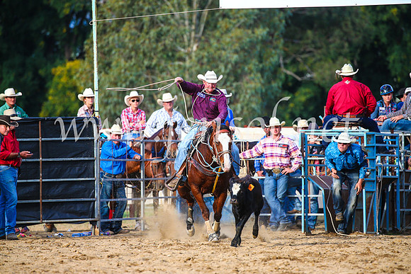 TumutRodeo2017_2689
