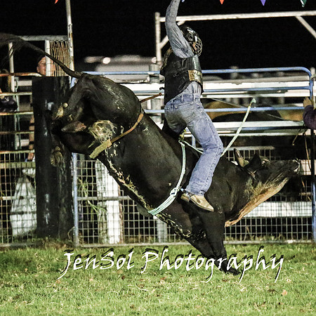 MiltonShowRodeo2018_1769