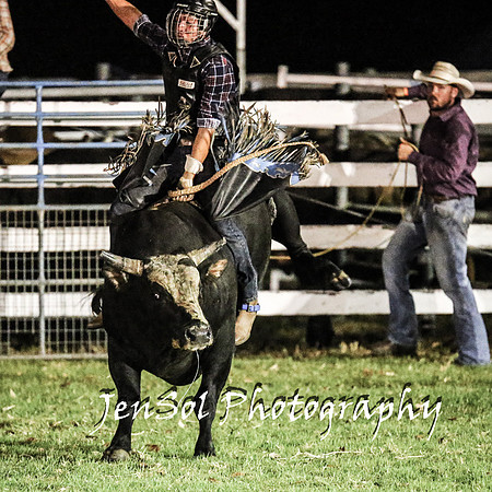 MiltonShowRodeo2018_1966