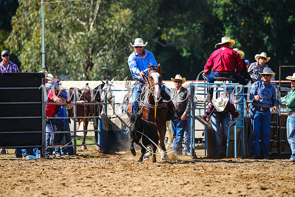 TumutRodeo2017_1079