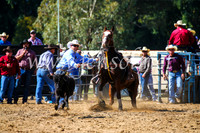 TumutRodeo2017_1083
