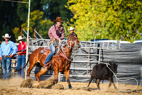 TumutRodeo2017_2696