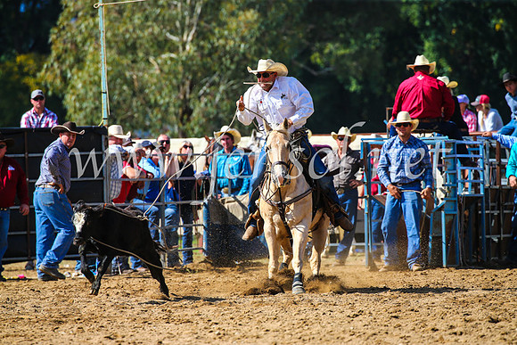 TumutRodeo2017_1113