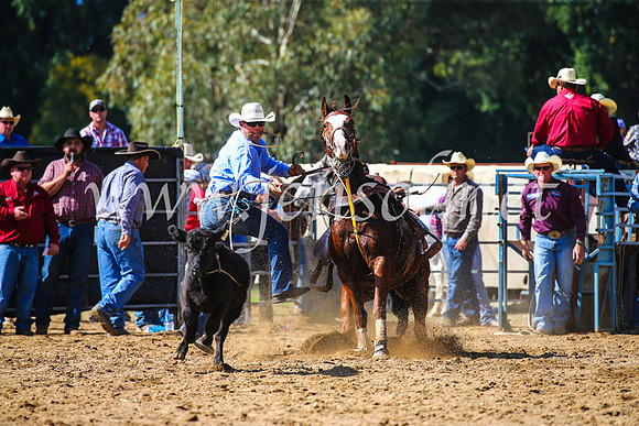 TumutRodeo2017_1086