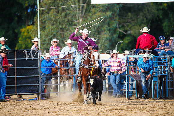 TumutRodeo2017_2687