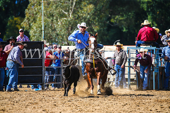 TumutRodeo2017_1085