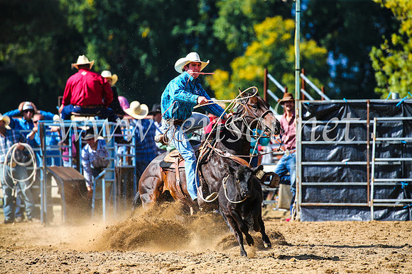 TumutRodeo2017_1066