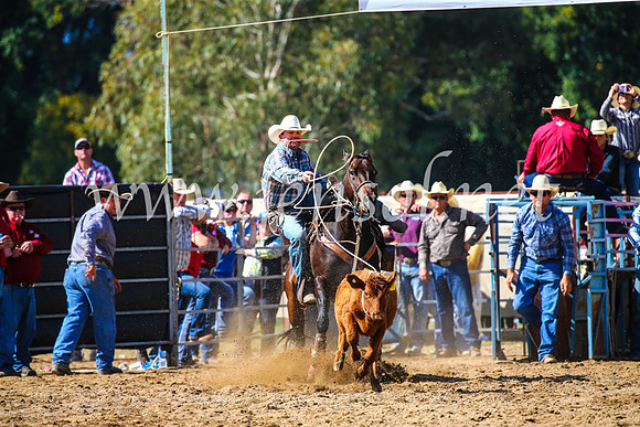 TumutRodeo2017_1096