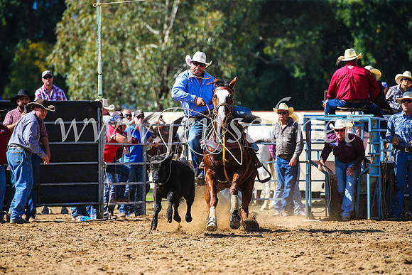 TumutRodeo2017_1091