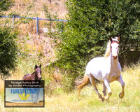 TaralgaJunior_0861