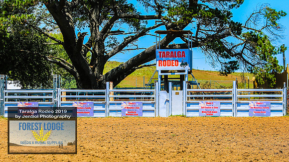 TaralgaRodeo2019_0895