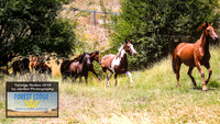 TaralgaJunior_0846