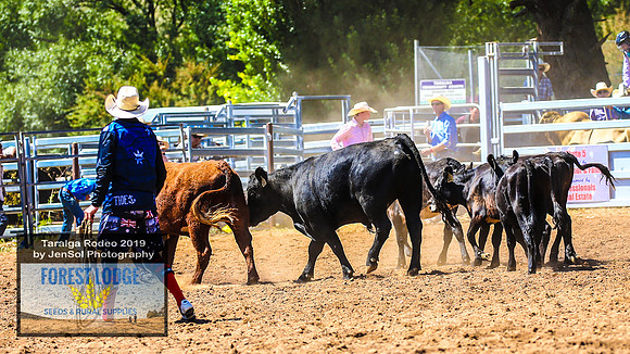 TaralgaRodeo2019_5457