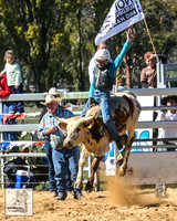 IMG_4364