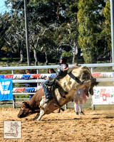 IMG_4344