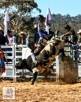 IMG_4350
