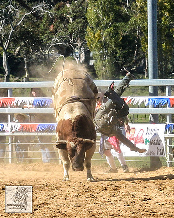 IMG_4346
