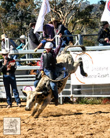 IMG_4357