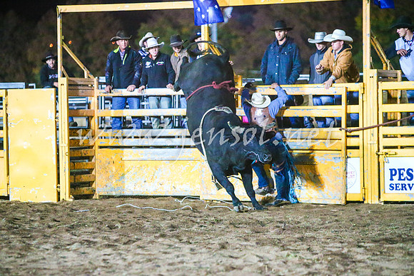 BathurstShow2017Sat_3547