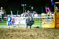 BathurstShow2017Sat_3369