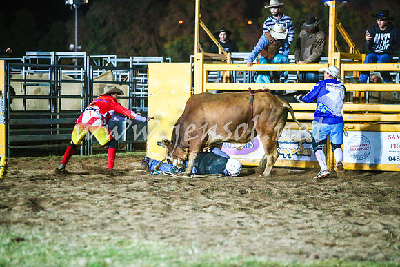BathurstShow2017Sat_3496