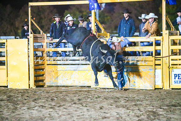 BathurstShow2017Sat_3541