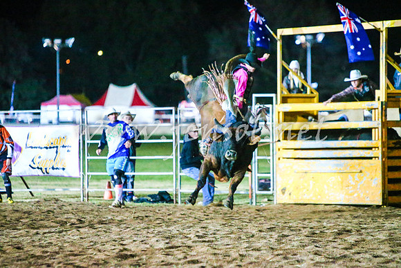 BathurstShow2017Sat_3308