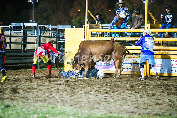 BathurstShow2017Sat_3495