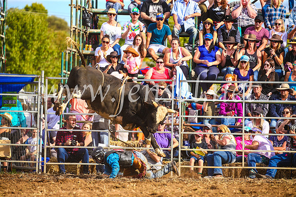 QueanbeyanRodeo2017_3571