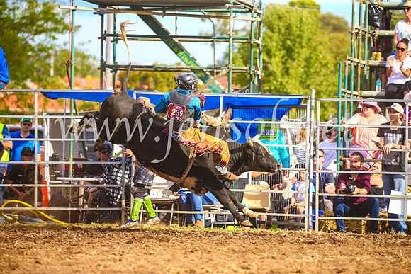QueanbeyanRodeo2017_3560