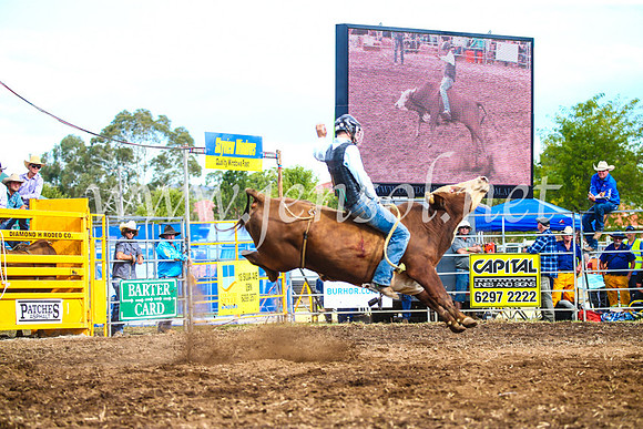 QueanbeyanRodeo2017_3197