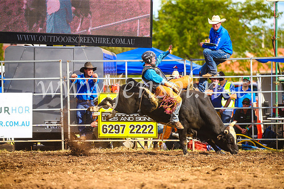 QueanbeyanRodeo2017_3544
