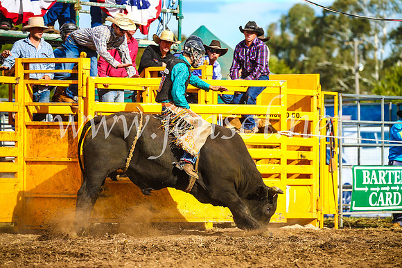 QueanbeyanRodeo2017_3472